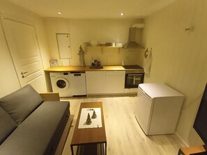 A compact living space with a sofa, a small table, a washing machine, a compact kitchen with a stove, and a refrigerator.