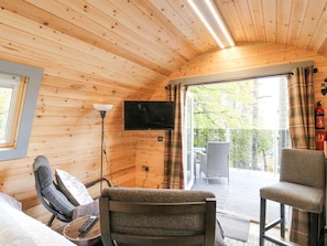 Ein gemütliches Cabin-Interieur mit Fernseher, Sitzgelegenheit und Blick ins Freie.