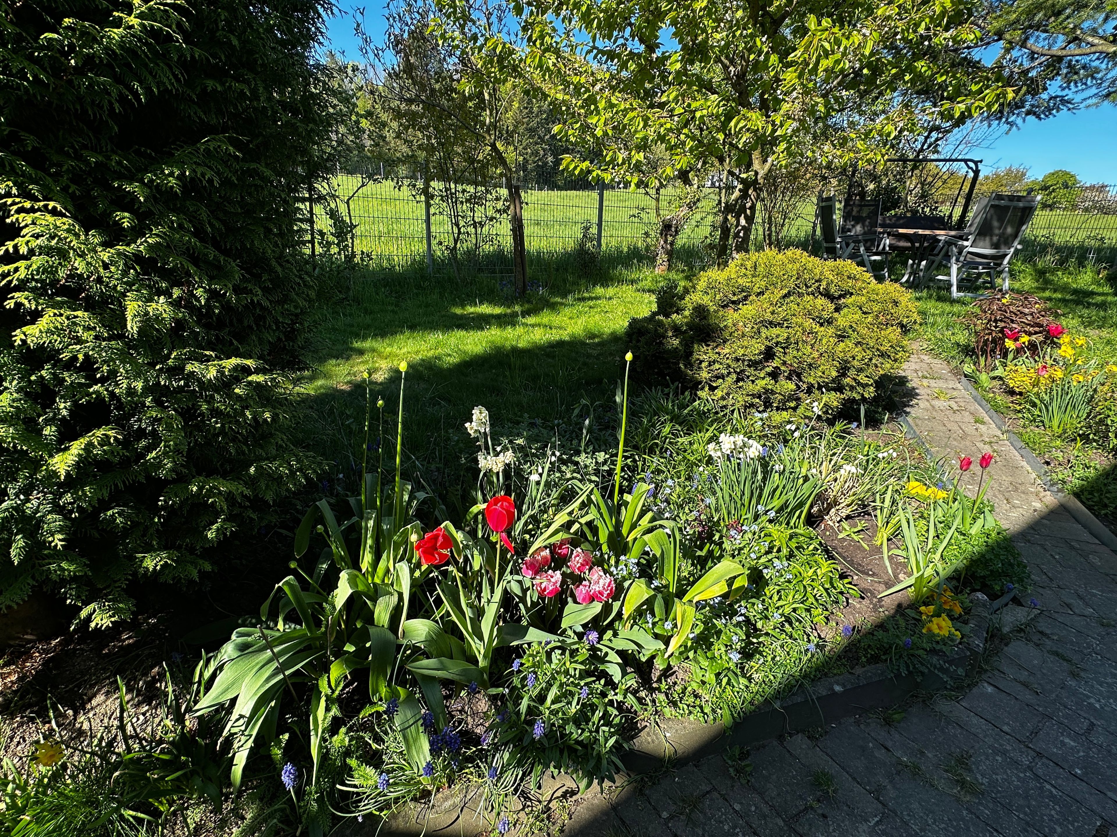 Een tuin met een geplaveid pad, diverse planten en een zitgedeelte met stoelen.