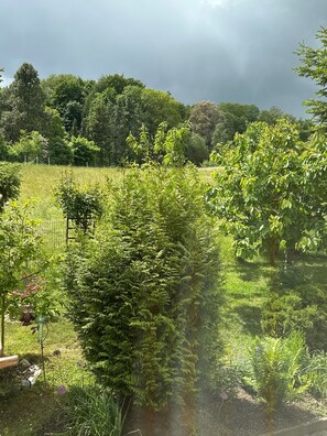 Un jardin avec différentes plantes et arbres, une clôture et une mangeoire à oiseaux.