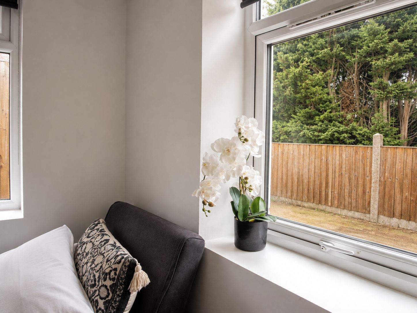 A room with a window, a sofa, a potted plant, and a view of a wooden fence and trees.