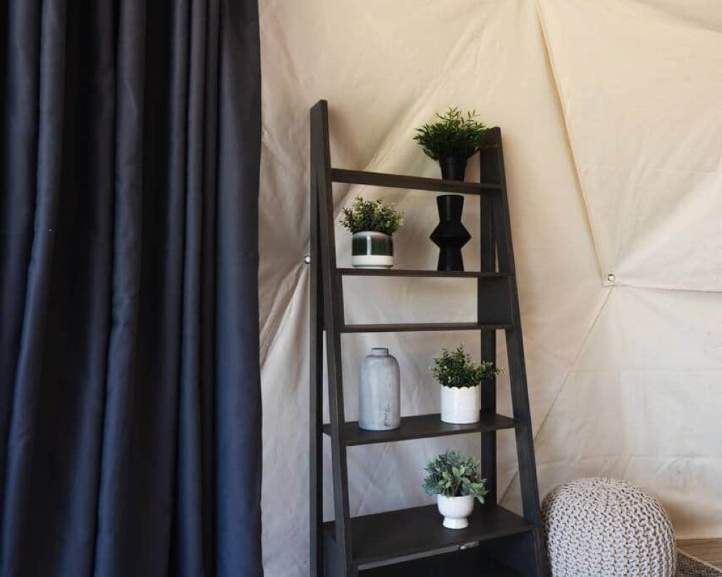 Une étagère en bois foncé, en forme d’échelle, avec des plantes en pot, placée devant un mur de couleur beige.