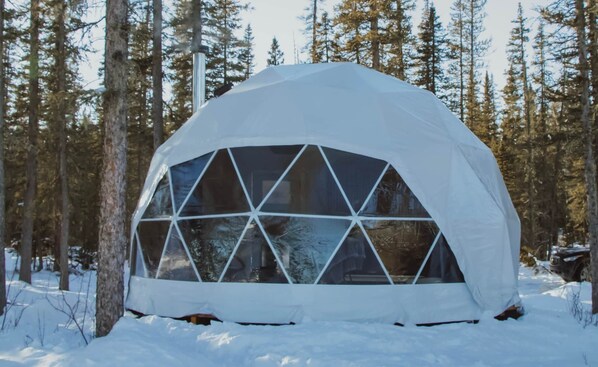 A geodesic dome structure in a snowy forest setting.