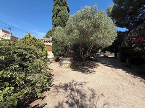 Un jardin où l’on trouve une variété d’arbres et d’arbustes, un puits en pierre et un ciel dégagé.