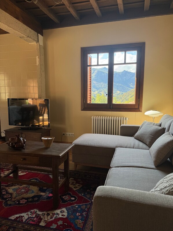 Een woonkamer met een televisie, een bank, een tafel, een raam met uitzicht op de bergen en een radiator.