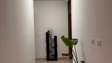 A hallway with a wooden floor, white walls, a ceiling light, a black shelf unit, and a potted plant.