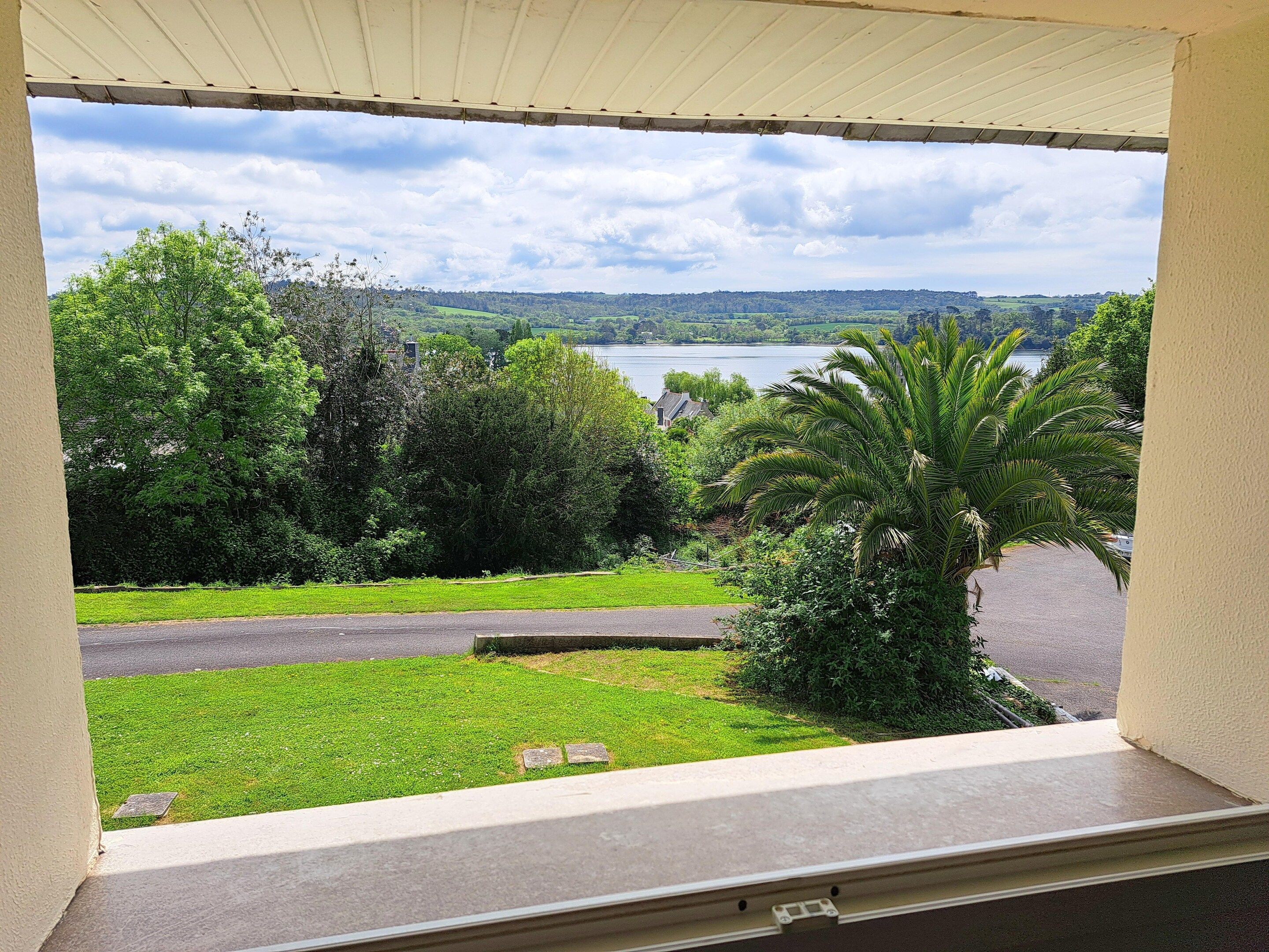 A view from a window overlooking a grassy area with a palm tree, a road, and a lake in the distance.