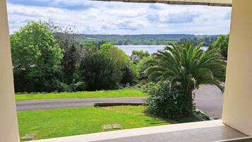 A view from a window overlooking a grassy area with a palm tree, a road, and a lake in the distance.
