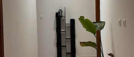 A hallway with a wooden floor, a black shelving unit, and a potted plant.