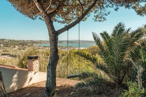 Uma árvore com um balanço, vista para um corpo d'água e paisagem ao longe.