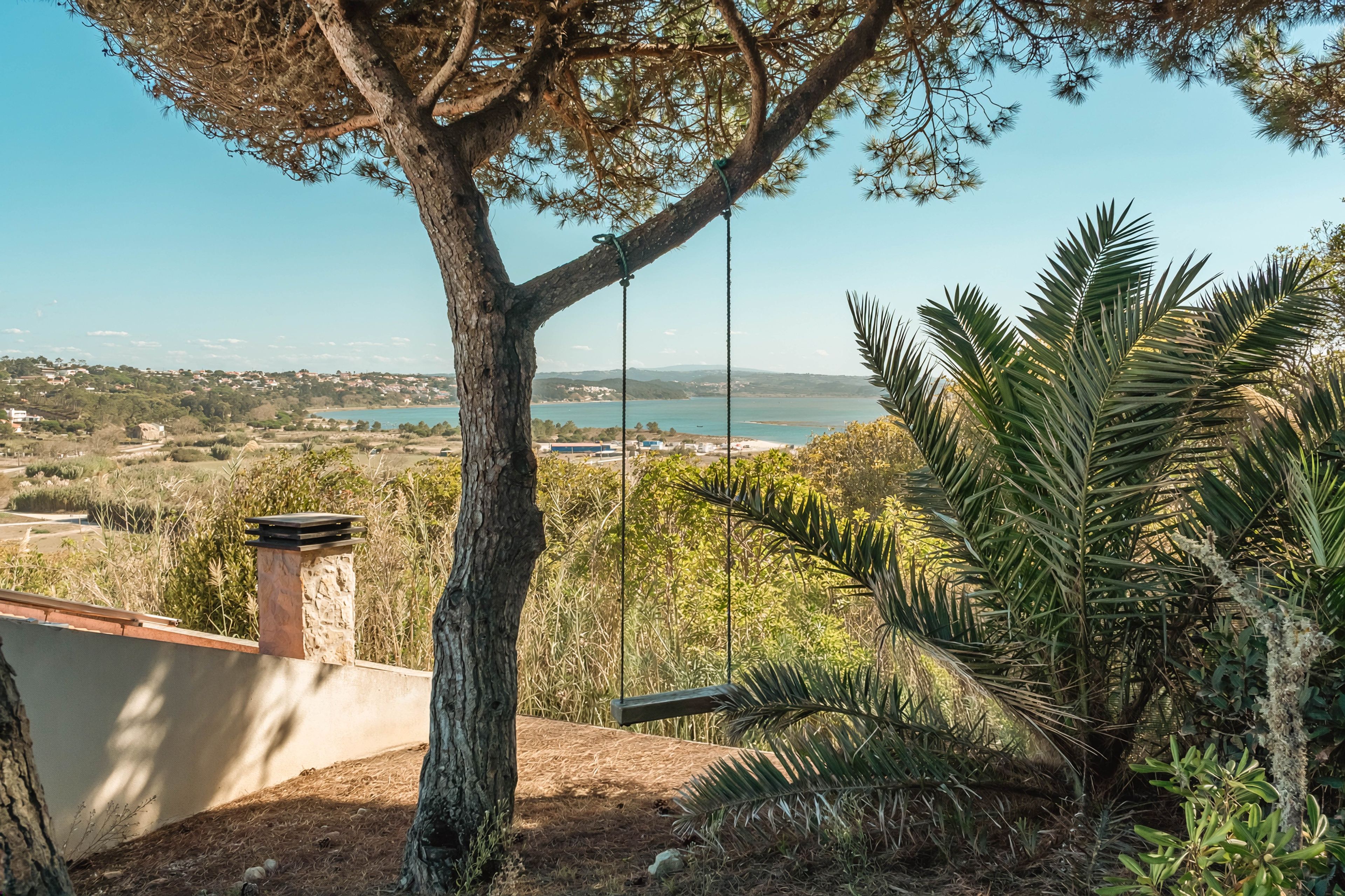 A tree with a swing, a view of a body of water, and a distant landscape.