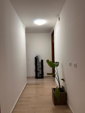 A hallway with a wooden floor, white walls, a ceiling light, a black shelf unit, and a potted plant. - New Listing (Venezia)