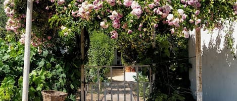 A garden with a metal gate, a white wall, and a basket on a concrete planter.