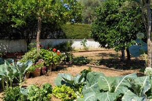 A garden with various plants and flowers, a tree, and a white wall in the background. - New Listing (Terrugem)