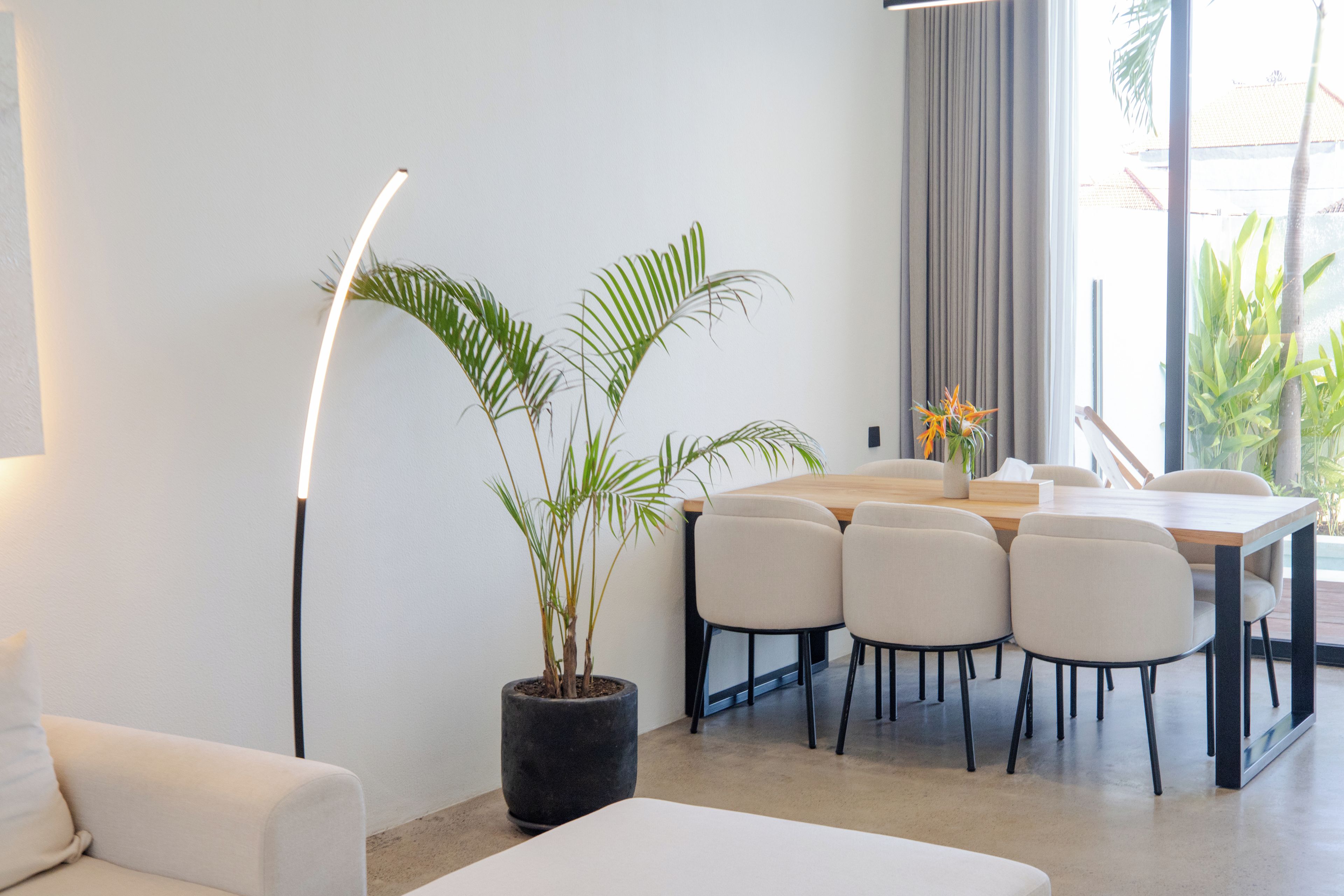 A modern dining area with a wooden table, six chairs, and a potted plant.