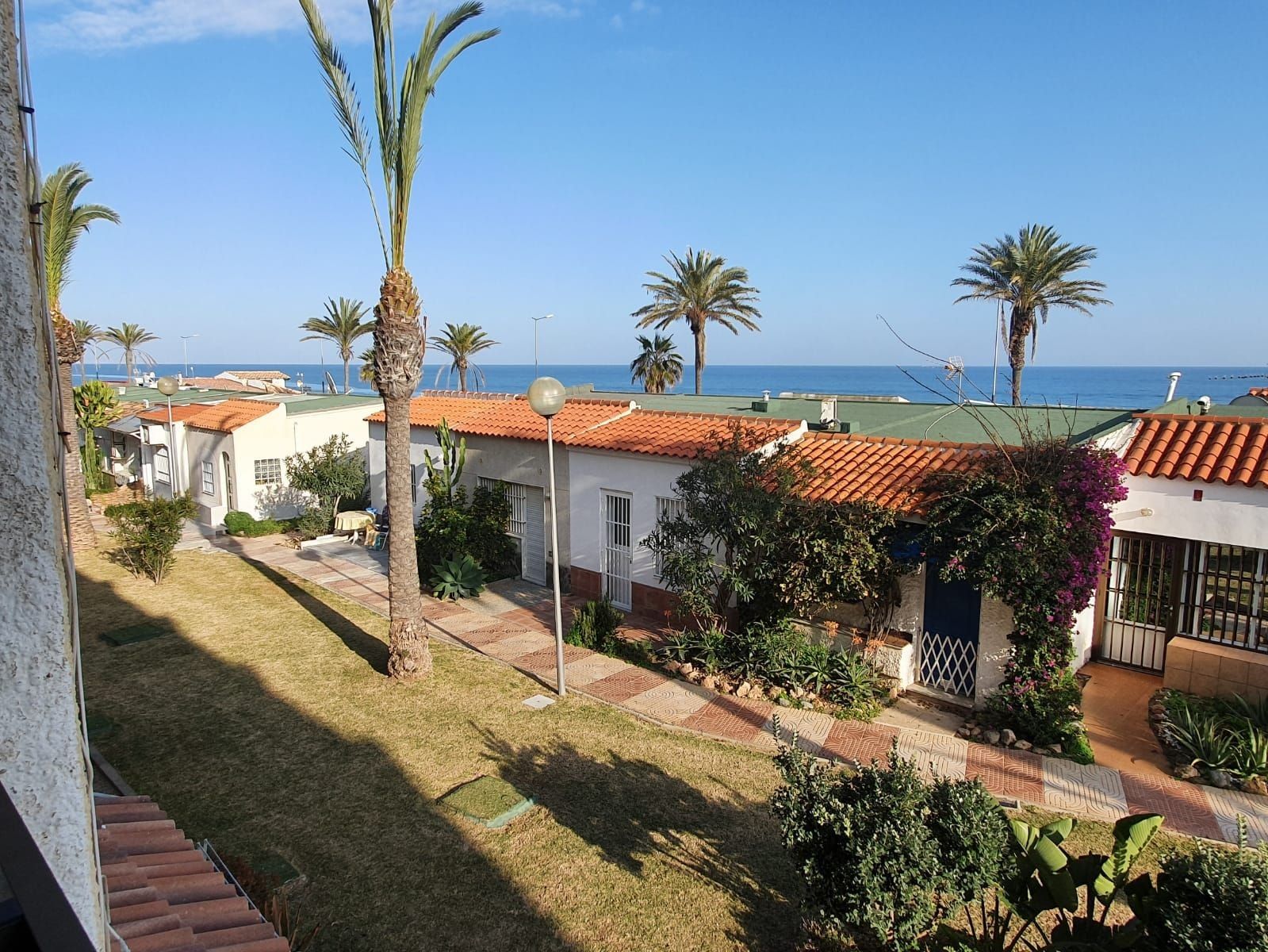 Zona residencial con casas, palmeras y vista al mar.