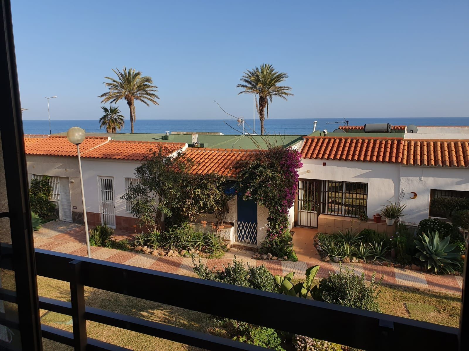 Zona residencial con vista al mar, con casas de techo rojo, palmeras y un jardín con diversas plantas.