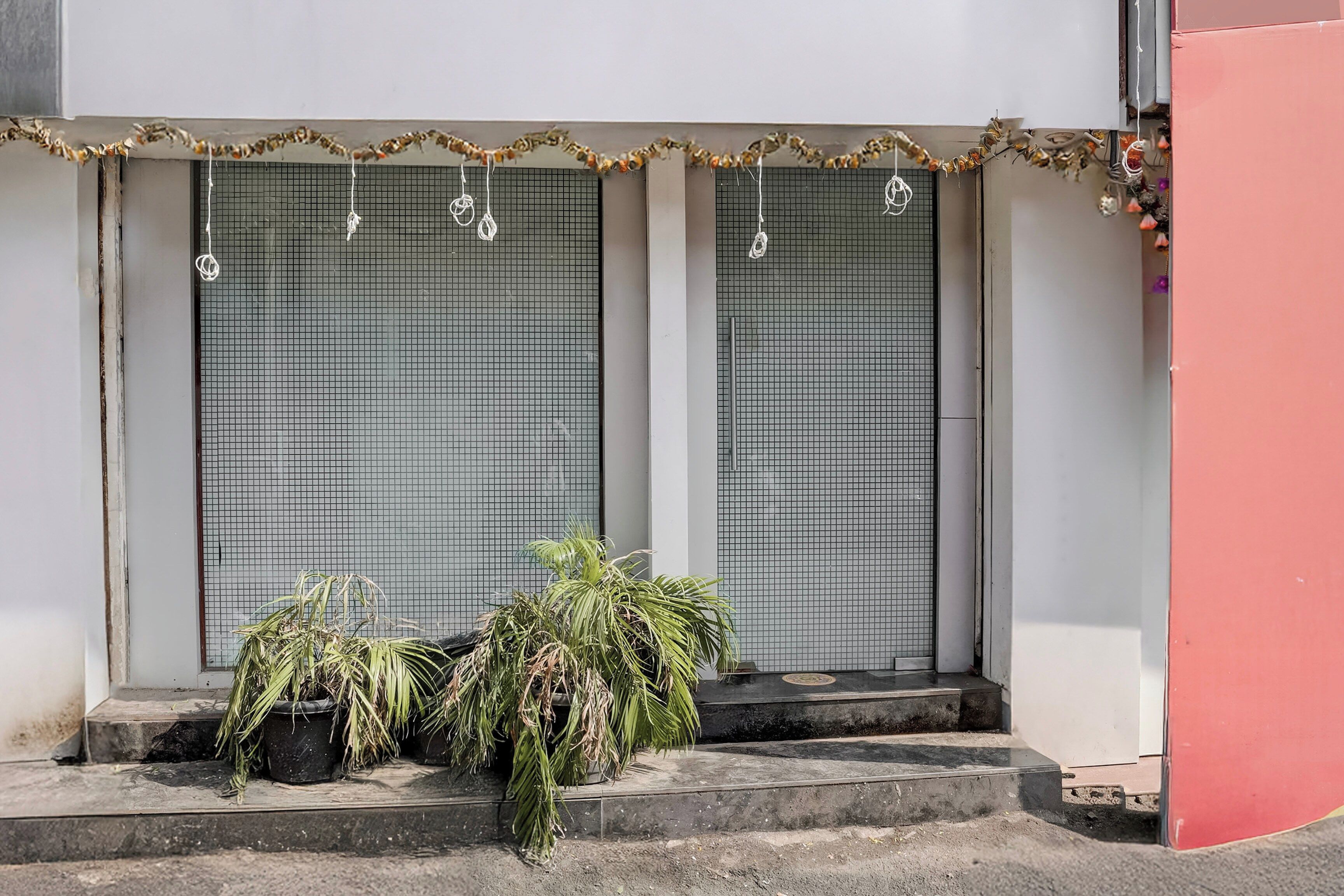 Fachada de edificio con dos ventanas cerradas, un pequeño escalón que lleva a la entrada y dos macetas con plantas en el suelo.