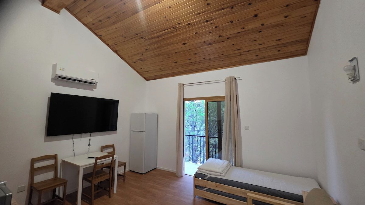 A room with a bed, a desk with a chair, a television, and a window with curtains.