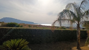 Una zona enjardinada amb una palmera, un arbust i una muntanya a la distància.