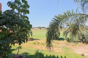 Blick auf einen Golfplatz mit blauem Himmel, umgeben von Palmen und viel Grün.