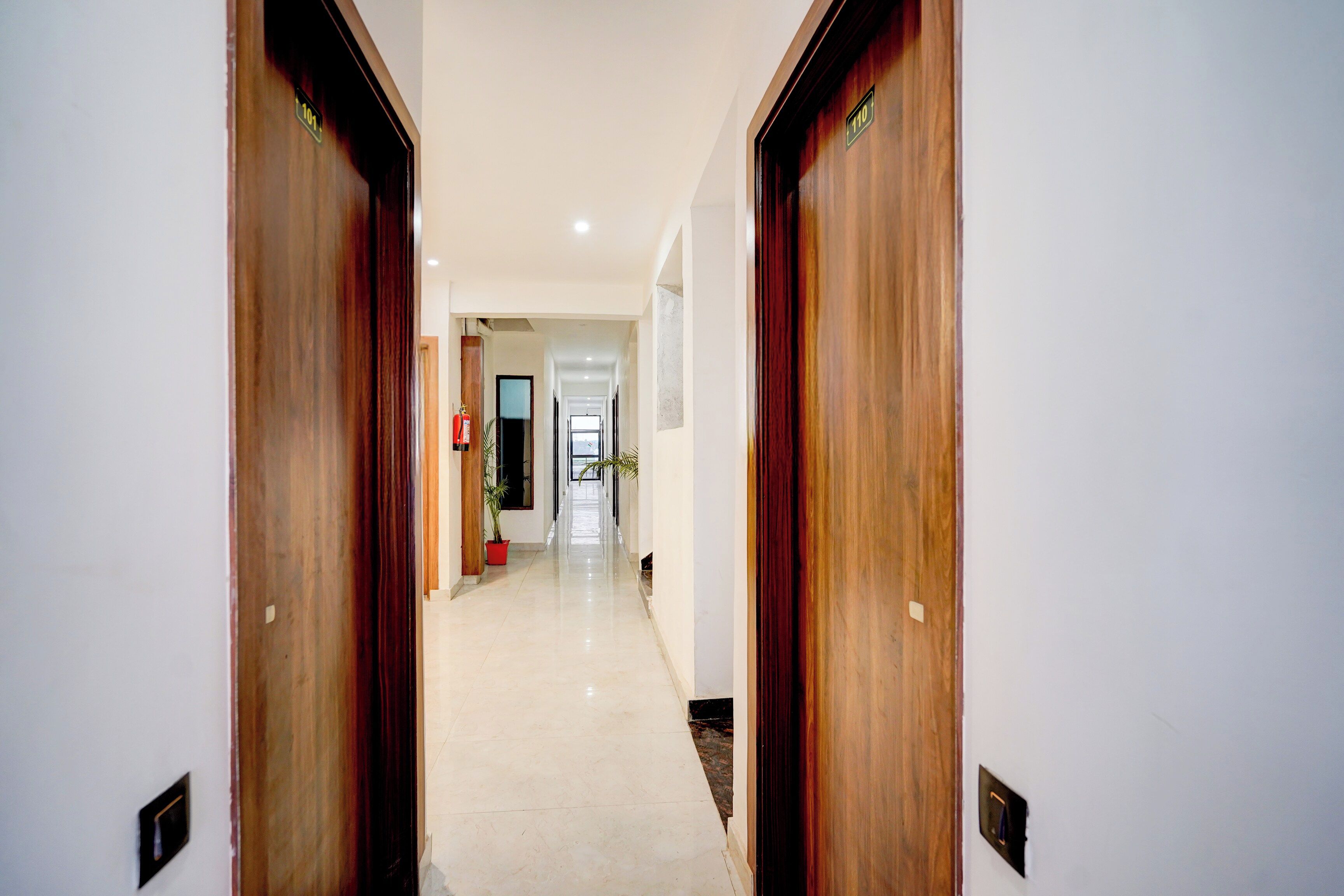 A corridor with wooden doors, a fire extinguisher, and a potted plant.