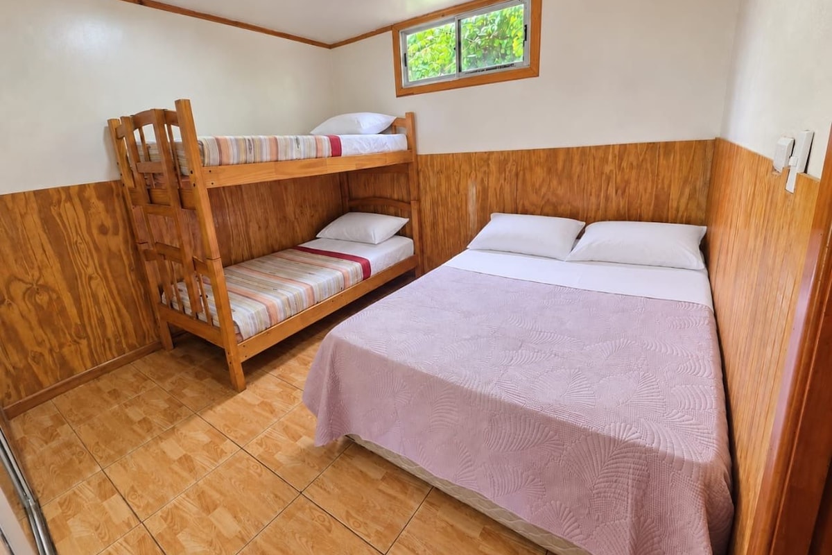 A room with a bunk bed, a single bed, and a window with a view of greenery.