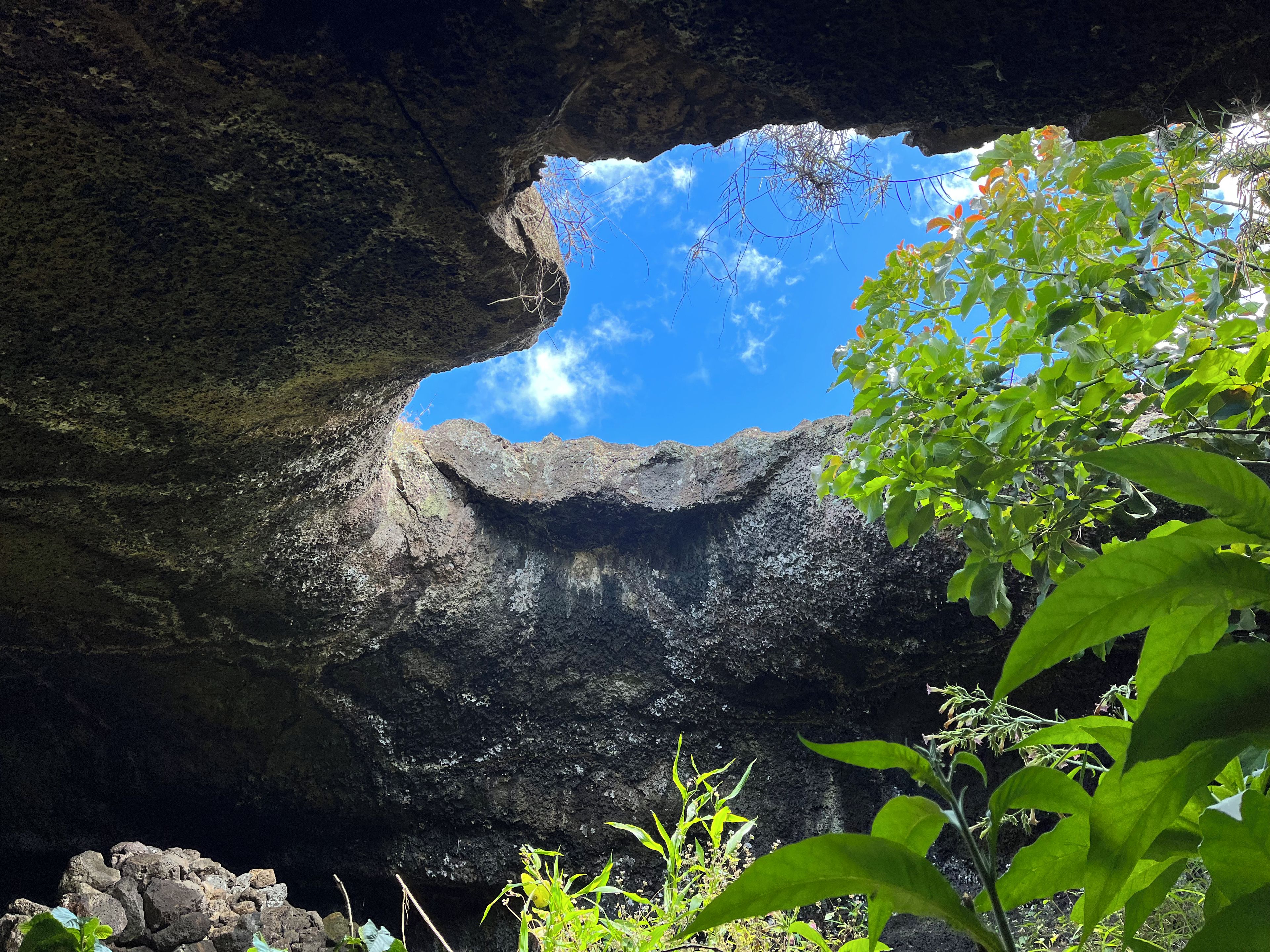 A natural rock formation with a cave entrance, surrounded by greenery.