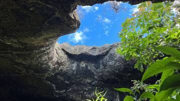 A natural rock formation with a cave entrance, surrounded by greenery.