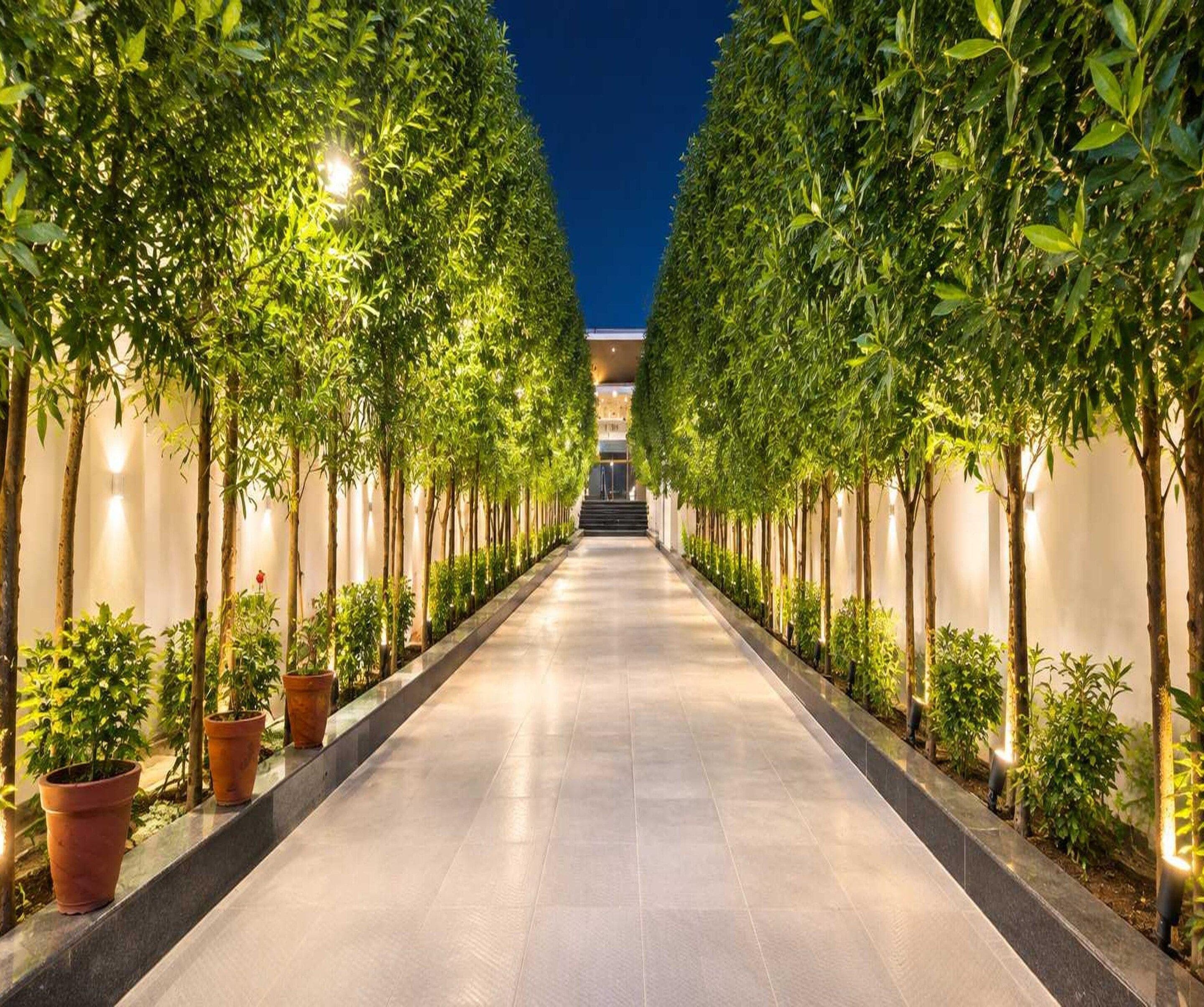 Un sendero bordeado de árboles y plantas en macetas, que conduce a la entrada de un edificio.