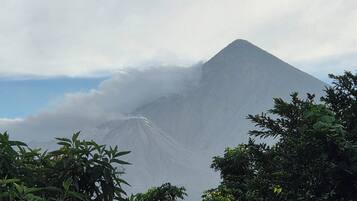 A mountain partially obscured by clouds, with dense foliage in the foreground.