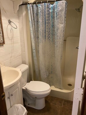 A bathroom with a toilet, sink, shower, and a patterned shower curtain. - Tranquil 2-bedroom cottage with AC in charming Corinth (Corinth)