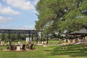 An outdoor seating area with chairs and a fire pit, surrounded by a grassy lawn and trees. - Stardust Ranch | The Ziggy House (Fayetteville)