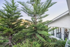 Ett stort barrträd i ett parkliknande område med en modern byggnad i bakgrunden.