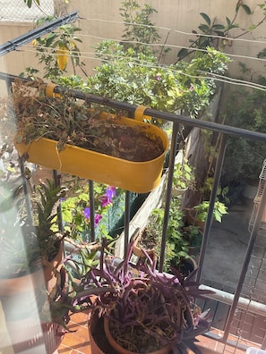 A balcony with a yellow hanging planter, potted plants, and a metal railing. - New Listing (Nice)