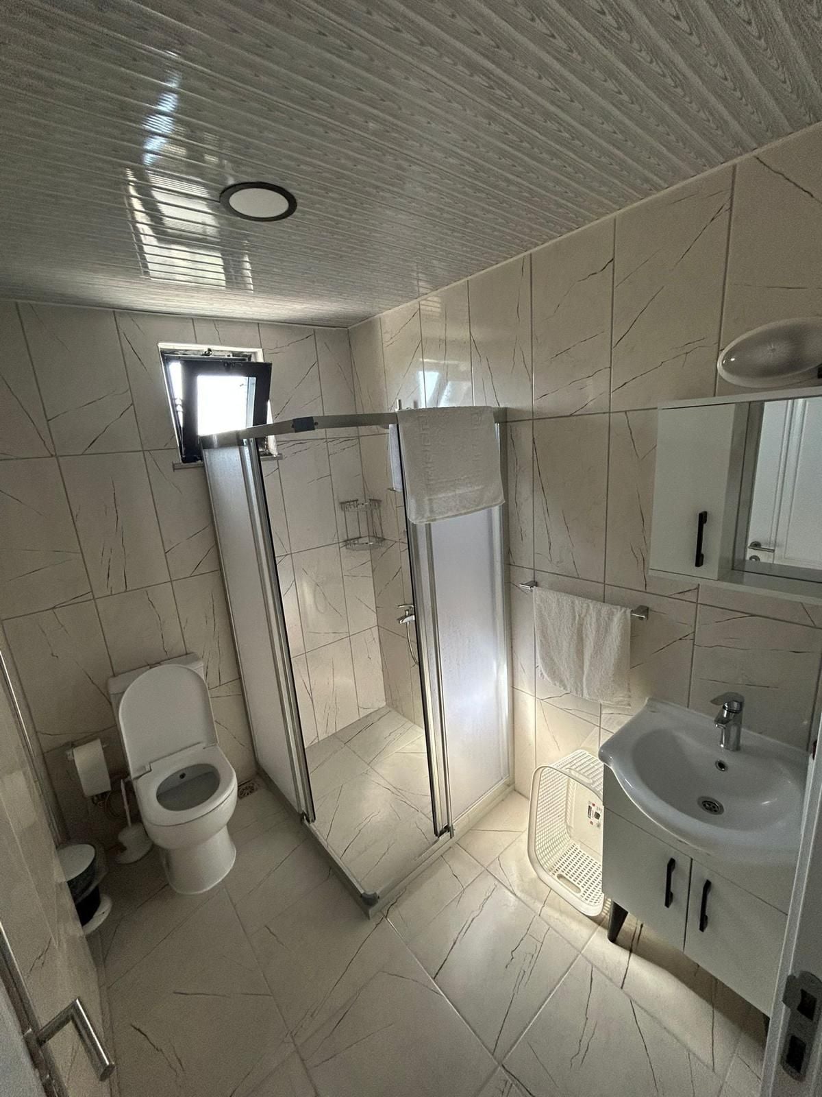 Ein Badezimmer mit Toilette, einer Duschkabine und einem Waschbecken mit Spiegel darüber.