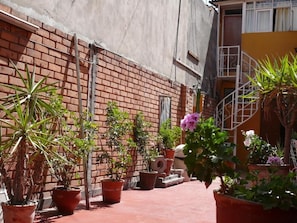 A courtyard with potted plants and a brick wall. - homesweethome (Arequipa)
