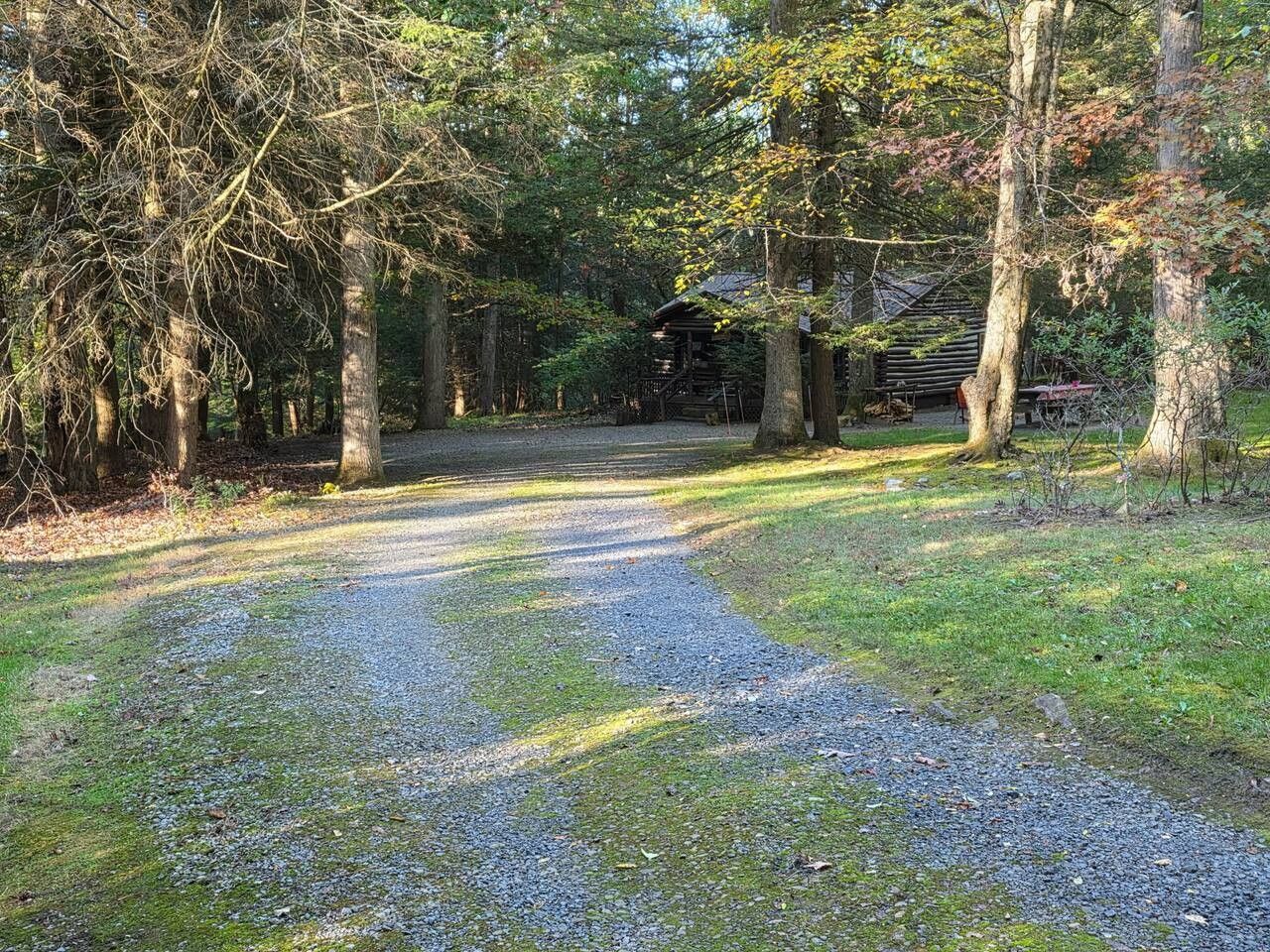 A gravel path leading to a wooden cabin in a forested area.
