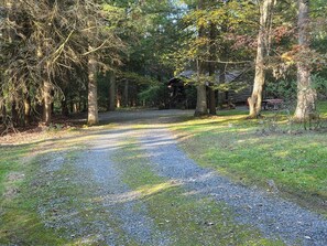 A gravel path leading to a wooden cabin in a forested area. - Black Bear Hideaway Cabin #6 (Clarington)
