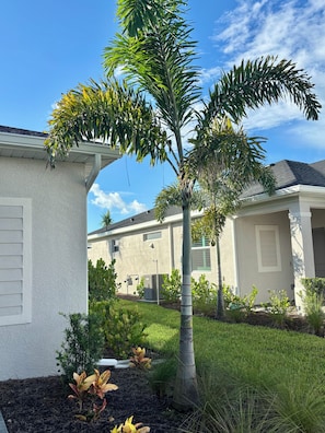 Een woonwijk met huizen, een verzorgd gazon en een palmpboom.
