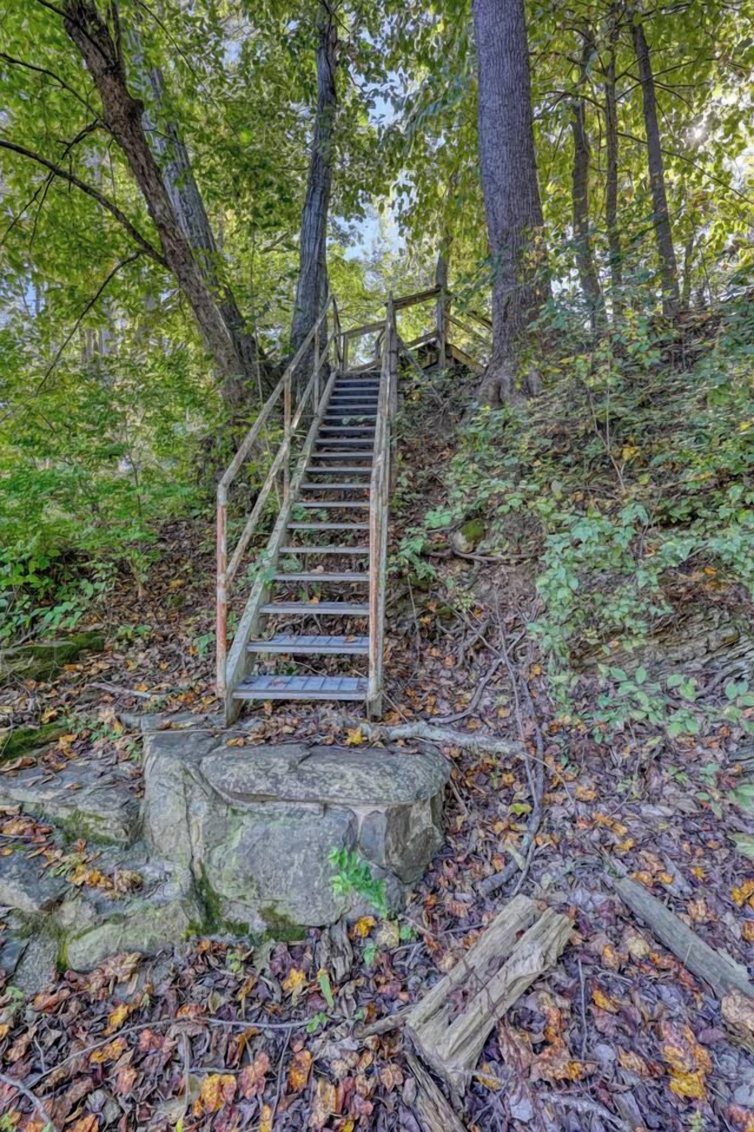 A wooden staircase leading up a rocky hill surrounded by trees and foliage.