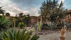 A garden with various cacti and plants, a wooden fence, and a building in the background. - Long Stay Cabin 2 - by Hacienda Cuatro Milpas (Ensenada)