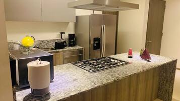 Une cuisine moderne dotée d’un plan de travail en granit, d’appareils électroménagers en acier inoxydable et d’une cuisinière à gaz intégrée.