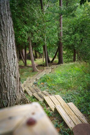 Un paseo marítimo de madera que atraviesa un bosque con árboles y follaje.