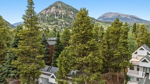 A residential area with multiple houses surrounded by tall evergreen trees and mountains in the background. - Beautiful apartment on the river, near shops and close to major skiing resorts. (Frisco)