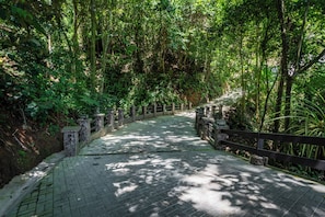 A paved pathway flanked by stone railings, surrounded by dense greenery and trees. - Casa Horizonte Azul. Where the jungle ends and the blue begins in Dominical CR (Savegre de Aguirre)