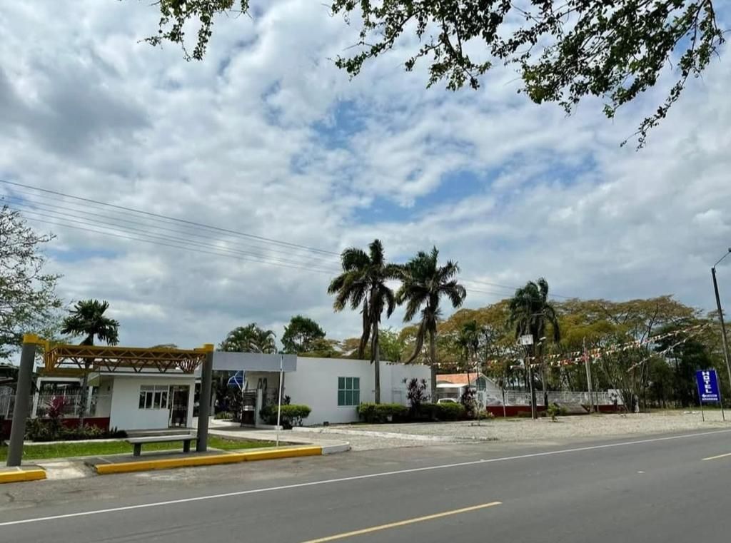 Vista de la calle con una gasolinera, palmeras y un cielo despejado.