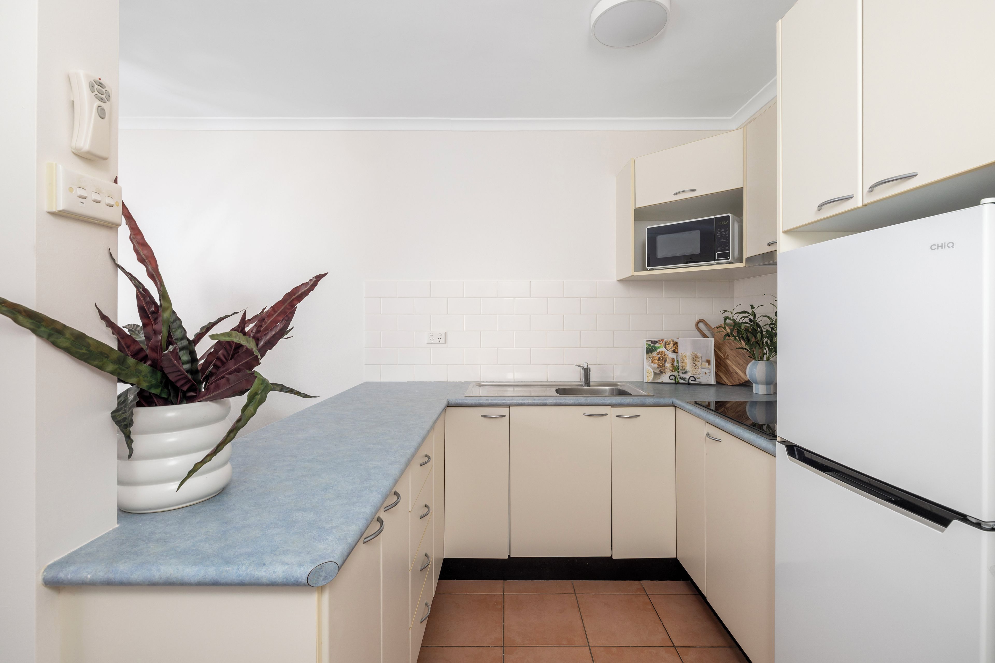 A kitchen with white cabinets, a microwave, a sink, and a potted plant.