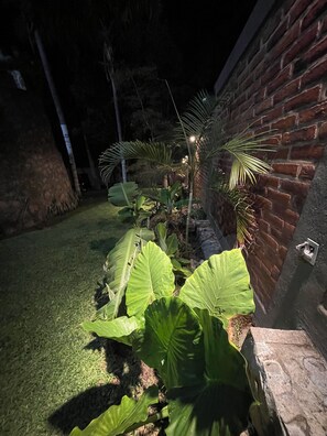A garden with large green leaves, a brick wall, and a stone structure. - New Listing (San Juan Tecomatlan)