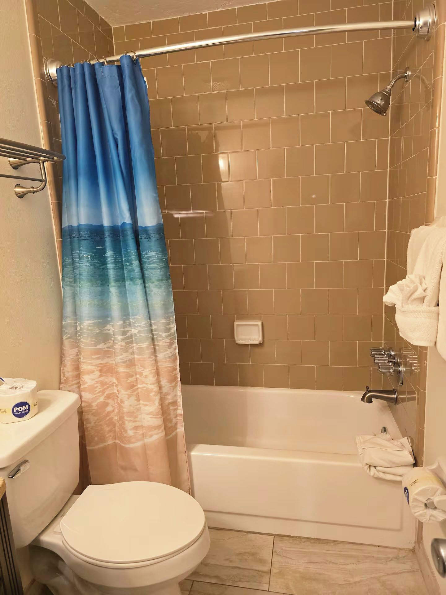 A bathroom with a shower, toilet, and bathtub.